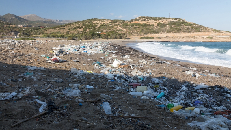 Plastic waste can alter life cycles and the floating debris can even transport some species far from their habitats
