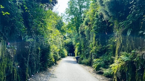 Patrick and Russell of The GastroGays share their top tips for a memorable trip on the Waterford Greenway.