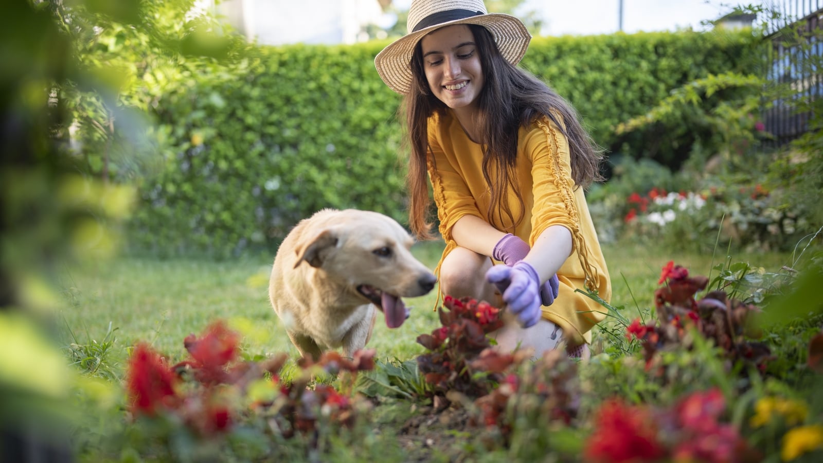 Why gardening is good for your wellbeing