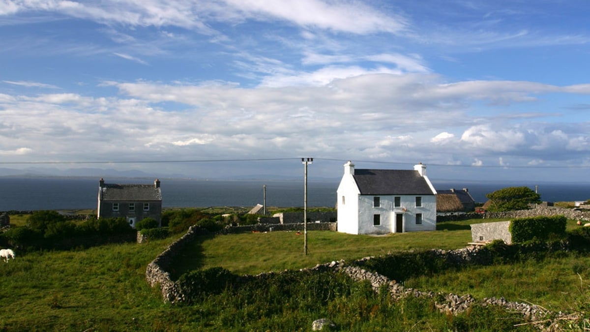 The green shoots in Ireland's rural economy