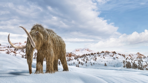 'I'd pay to see one if it was there, wouldn't you?' Photo: Getty Images