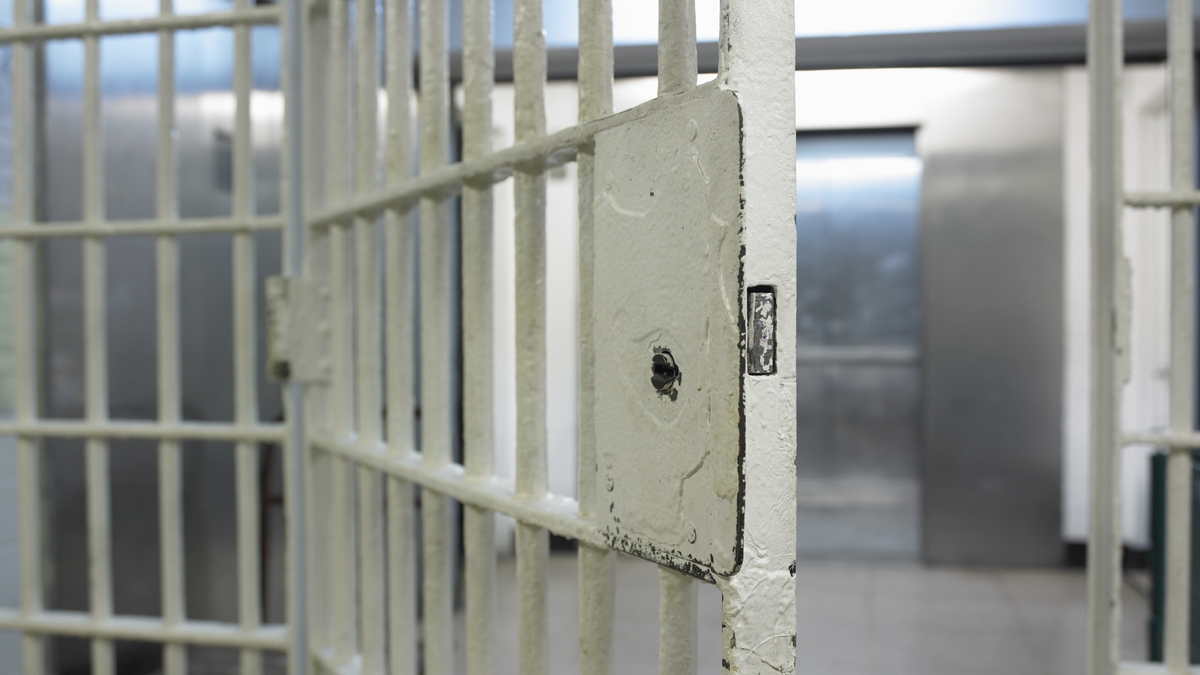 Irish Penal Reform Trust Convictions/Employment