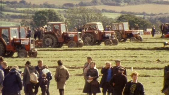 National Ploughing Championships (1981)