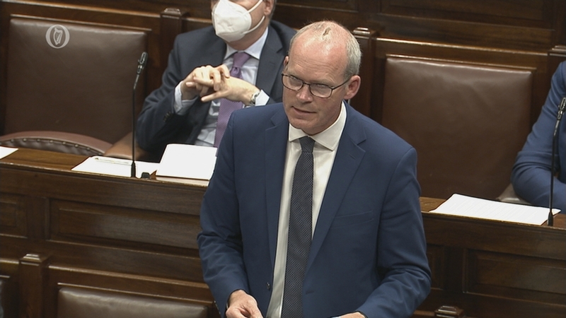 Simon Coveney addressing the Dáil