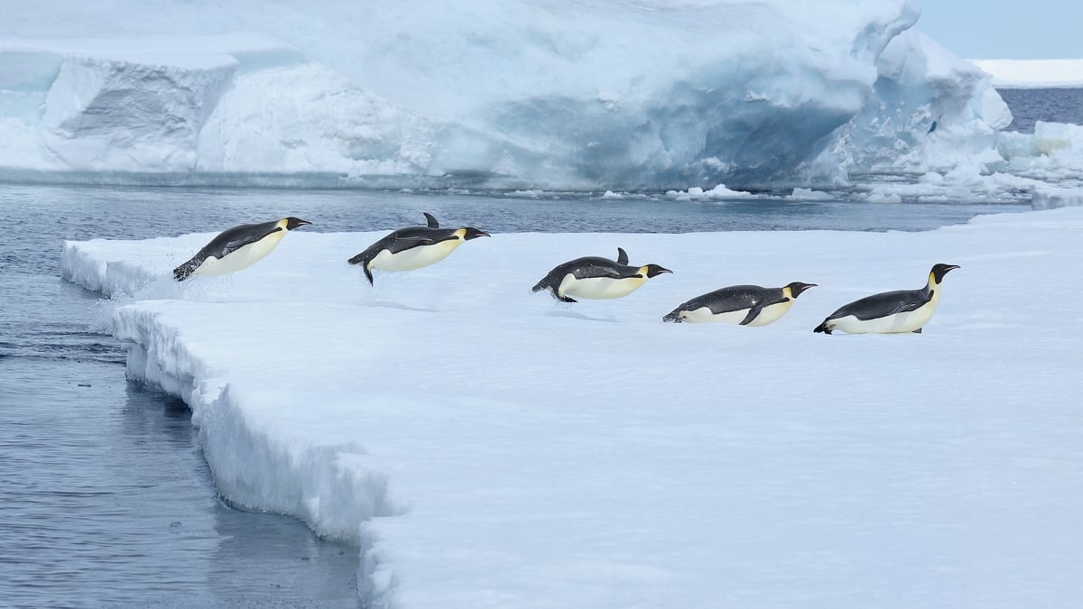 Maitiú Ó Cuimín, Lochán Beag.
