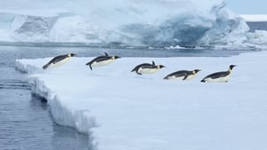 Maitiú Ó Cuimín, Lochán Beag. show image