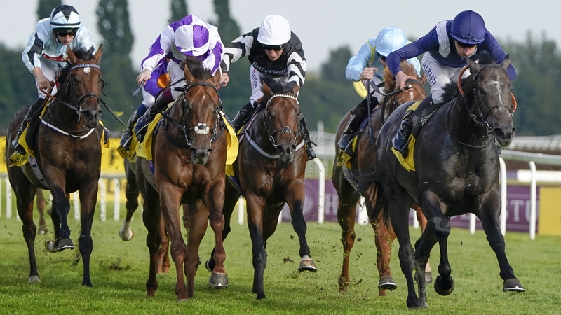 Wings Of War looks an ideal candidate for the Commonwealth Cup at Royal Ascot next season