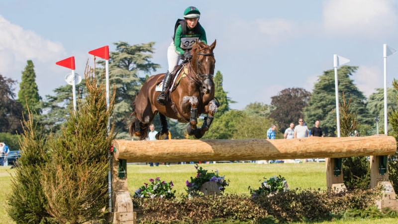 Susie Berry and John The Bull successfully negotiate an obstacle at Blenheim Palace