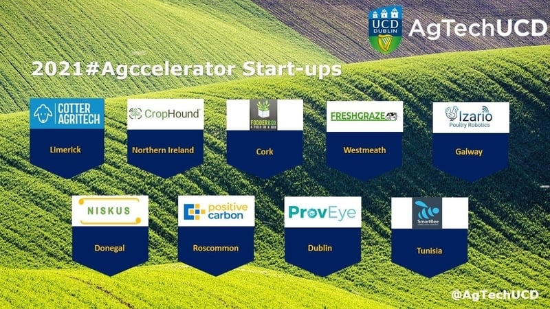 Participating start-ups are based in Cork, Donegal, Dublin, Galway, Limerick, Roscommon, Westmeath as well as Northern Ireland and Tunisia