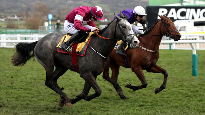 Farclas recorded his highest-profile win in the 2018 Triumph Hurdle at the Cheltenham Festival