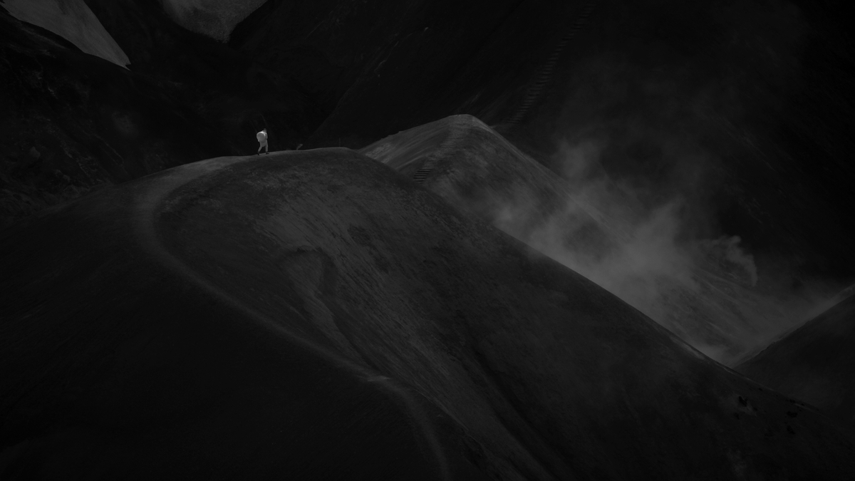 The Heart of A Tree | Culture File