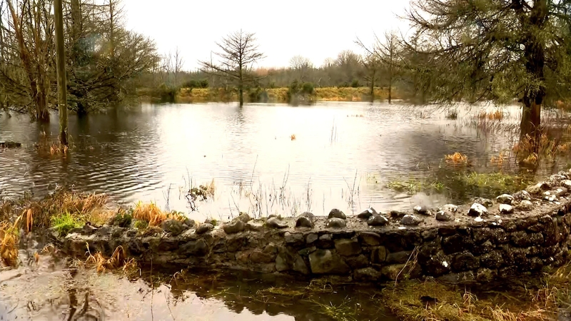 The High Court refused an application by Friends of the Irish Environment