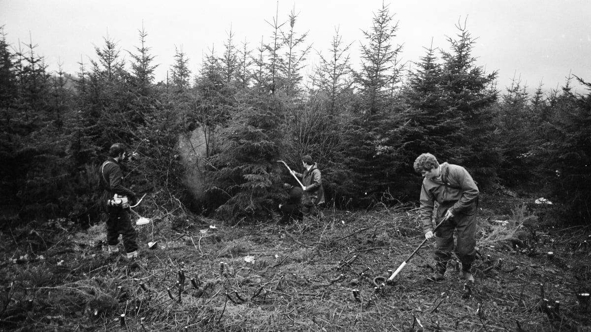 The Case I Can't Forget- Don Tidey Kidnapping 