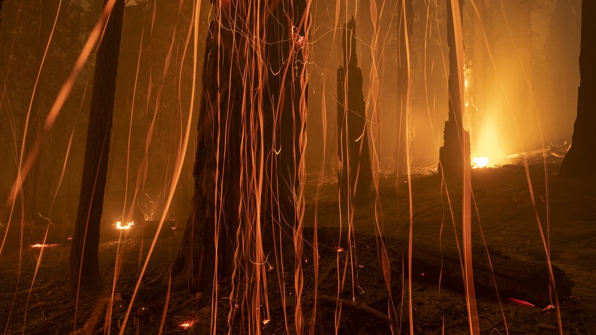 'We need to take action now' - Chair of the Climate Change Advisory Council 