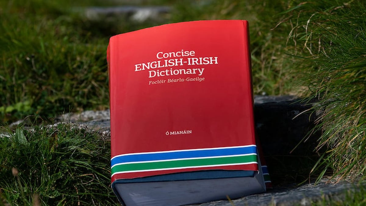 The English words with Irish roots