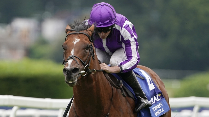 St Mark's Basilica was unbeaten in four starts during his Classic campaign