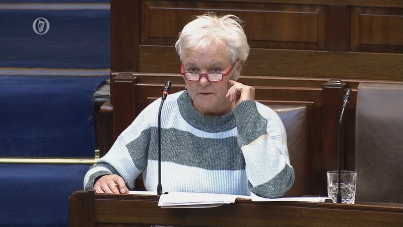 Bríd Smith said it was a great day for women's healthcare (file pic)