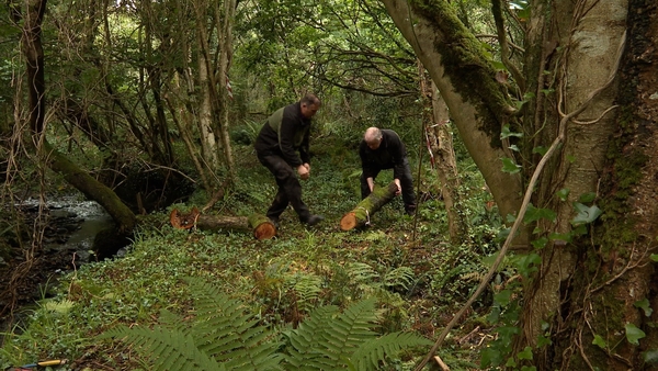 The two-kilometre pathway which winds its way through the woods and along a mountain stream has revealed a number of interesting features such as paving stones