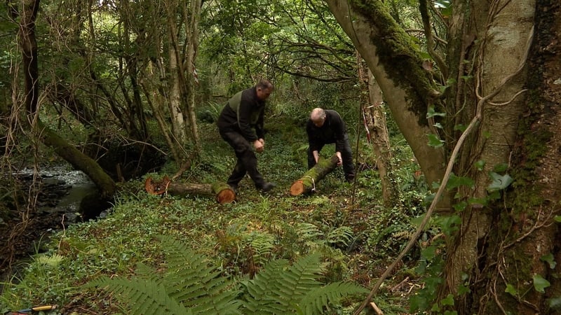 The two-kilometre pathway which winds its way through the woods and along a mountain stream has revealed a number of interesting features such as paving stones
