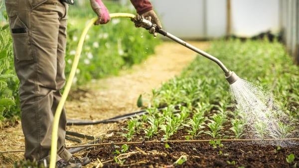 The new non-domestic tariff framework will impact over 164,000 businesses, farms, charities, public bodies, social enterprises and other non-domestic customers