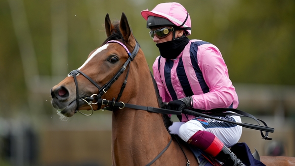An ultra-game Loving Dream landed the Prix de Royallieu under Frankie Dettori