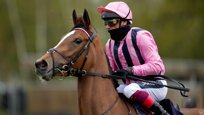 An ultra-game Loving Dream landed the Prix de Royallieu under Frankie Dettori