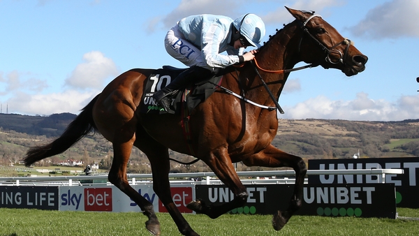 Rachael Blackmore rode Honeysuckle to victory in the Champion Hurdle at Cheltenham last March