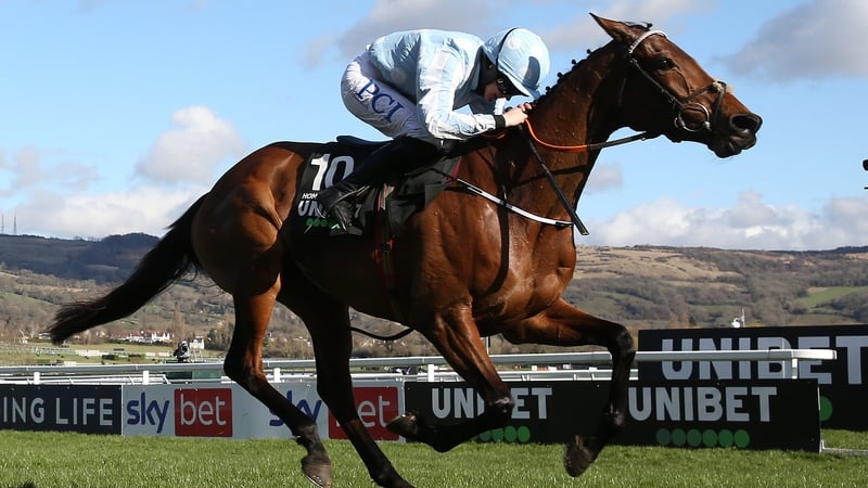 Rachael Blackmore has piloted Honeysuckle to 13 straight victories, including nine Grade Ones