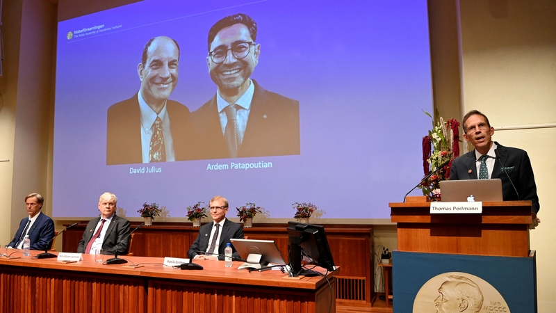 Thomas Perlmann (R), the Secretary of the Nobel Committee, announces the winners