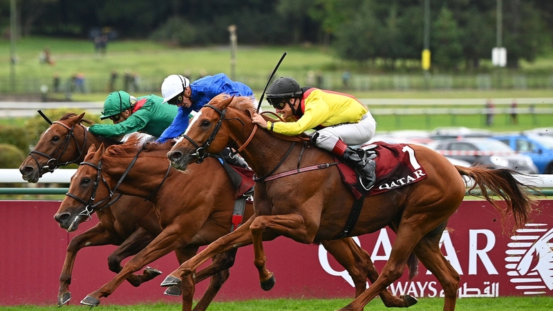 Torquator Tasso (near side) is a general 12-1 chance for the Ascot feature