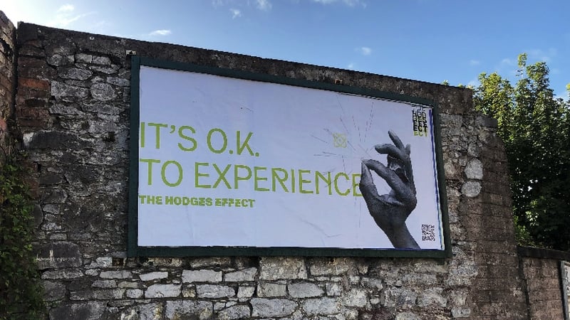 The posters are part of a campaign to make 30 November 'International Meteorite Awareness Day for Ann Hodges'