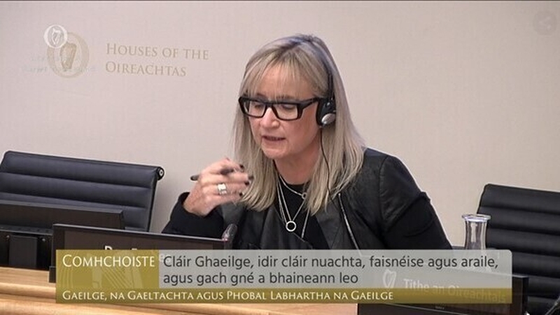 Ms Forbes addressed an Oireachtas committee today