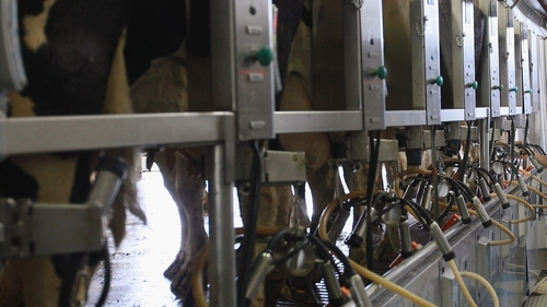 One farmer was forced to dump 40,000 litres of milk in the past two months when no driver turned up to collect it