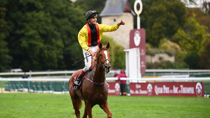 Torquator Tasso hails from a German family known for improving with age