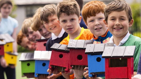 Last chance to sign up for the Junior Entrepreneur Programme!!