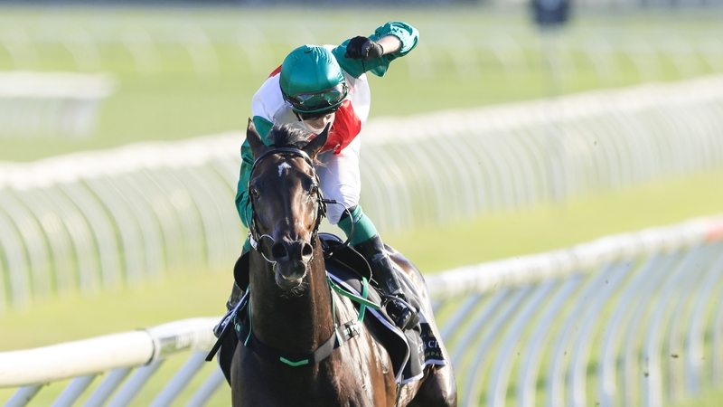 Robbie Dolan celebrates as he crosses the line on Profondo