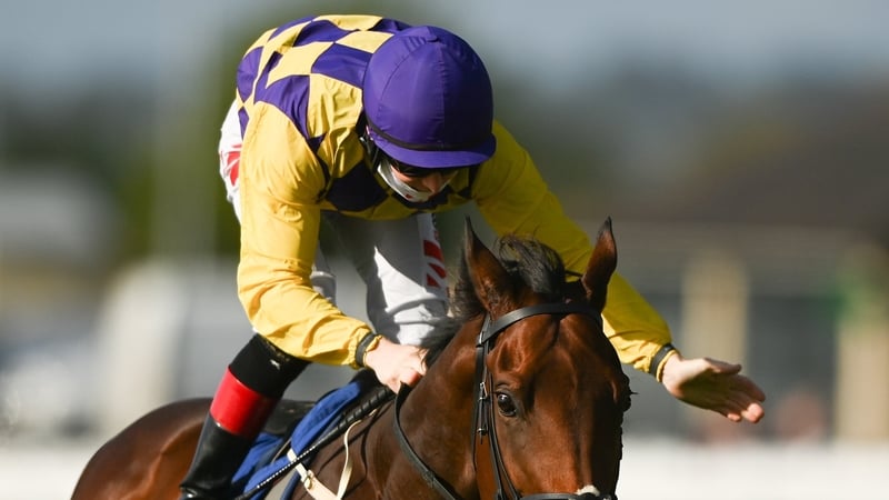 Colin Keane celebrates on Power Under Me