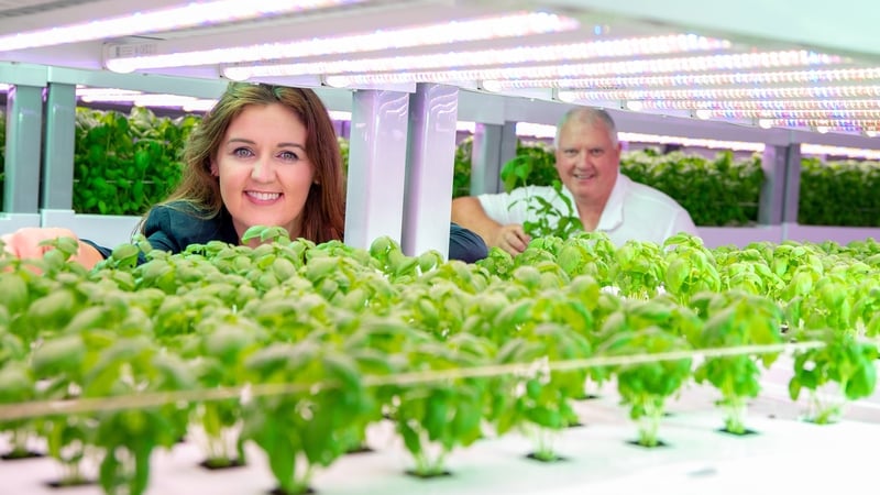 Deirdre O'Neill, Managing Director at Compass Group Ireland and Brian O'Reilly from Emerald Greens