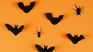 Samhain Stories show image