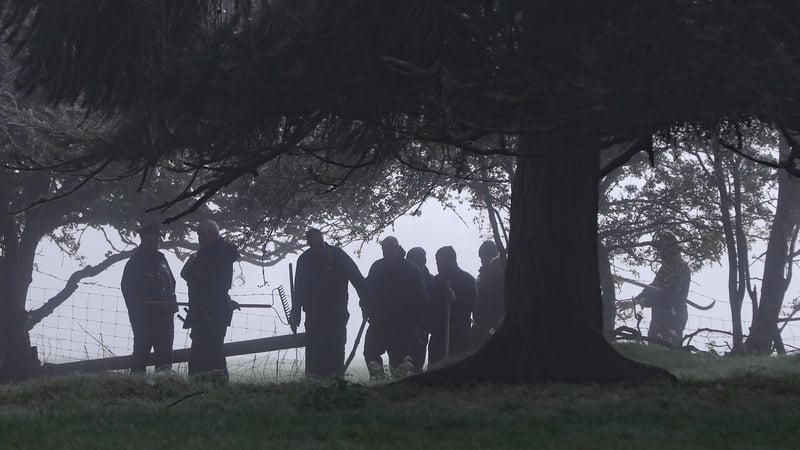 Gardaí searched an area of dense woodland on the Kildare/Wicklow border