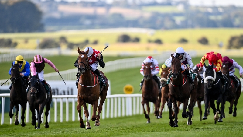 Cape Gentleman took glory at Punchestown