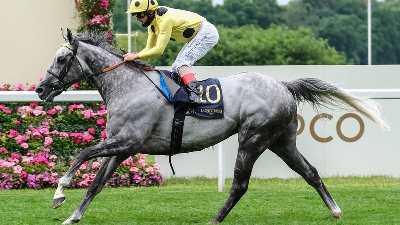 Fujaira Prince winning the Copper Horse Handicap at Royal Ascot last year