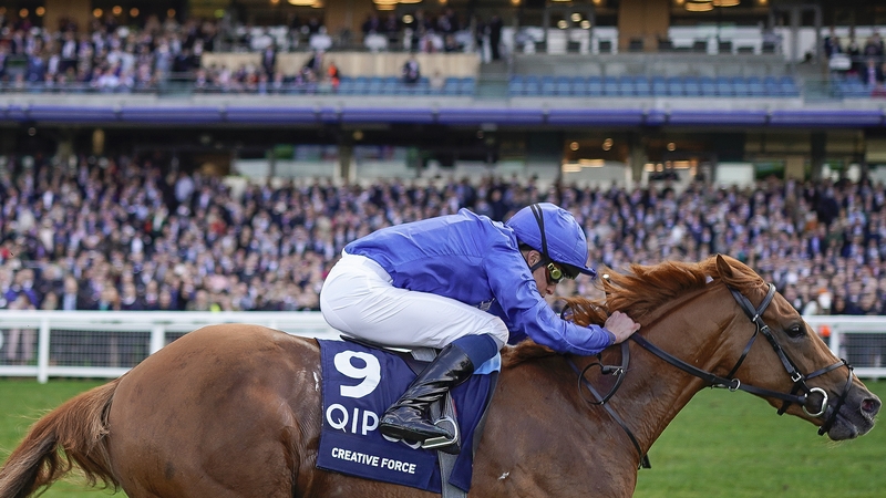 Creative Force wins in front of the packed stands at Ascot