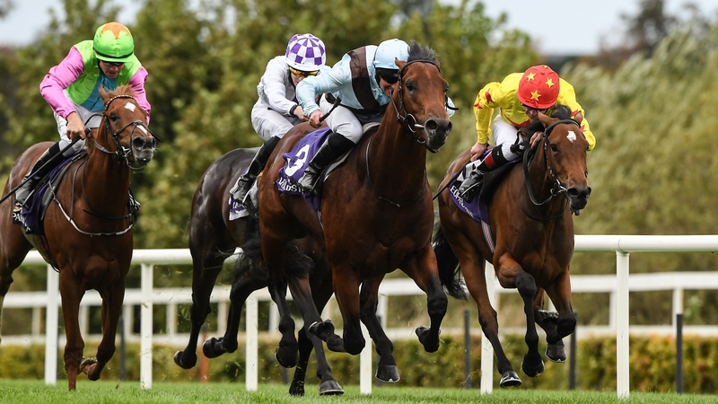 Glounthaune defied a major market drift to score in the feature