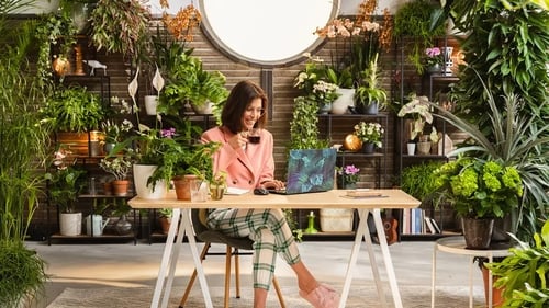 Two houseplant experts look at biophilia and how it can be used in urban homes to create different atmospheres.