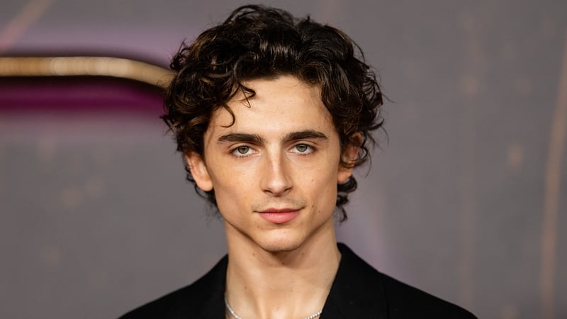 Timothee Chalamet
