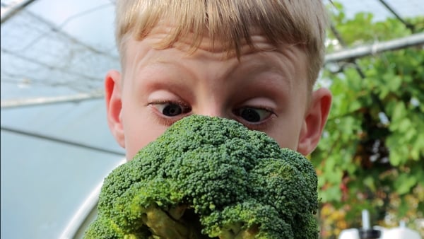Cork kids star in UN Food Heroes music video!