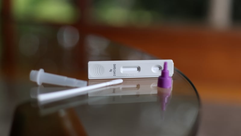 The contents of a Covid-19 rapid antigen test kit
