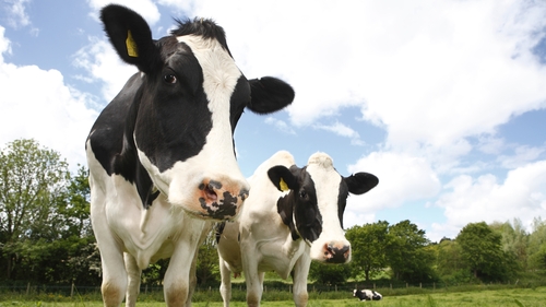 The Taoiseach added that farmers are 'up for' the challenge of cutting emissions.