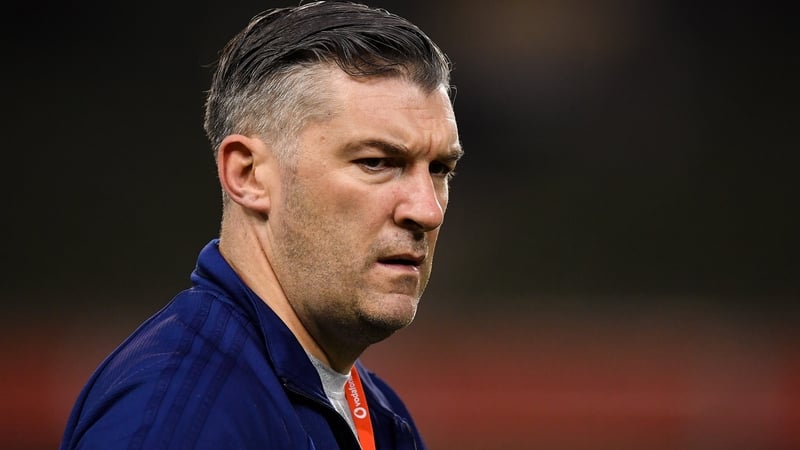 McWilliams will take over after Ireland's November Test matches